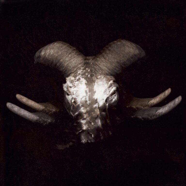 SSR229 cover